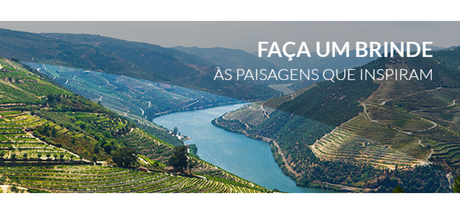 CiMart - Collage Banners - Banner 1